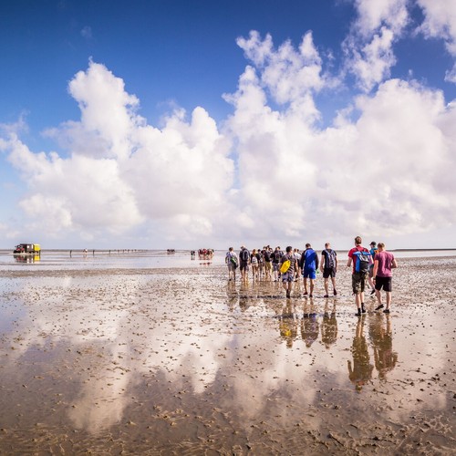 Tage ostfriesland nordsee - 6,